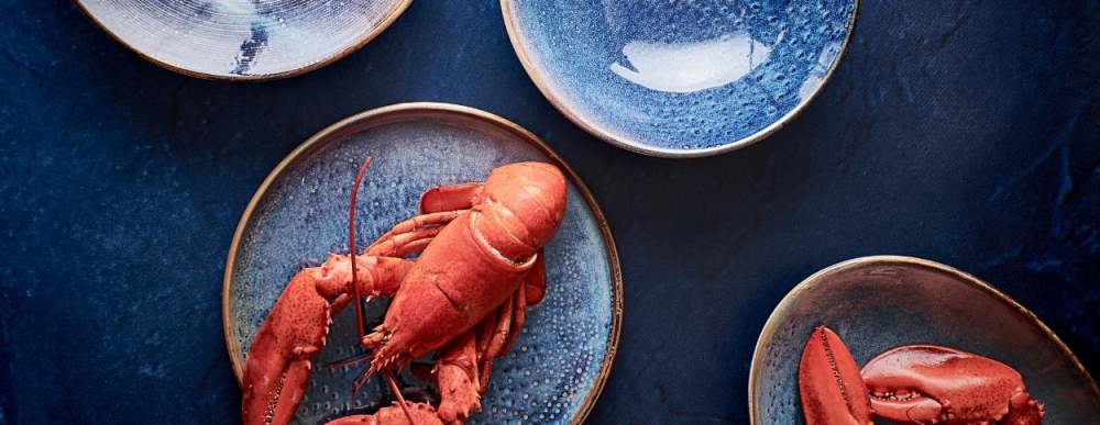 Plat bord Nova 15cm - Afbeelding 3